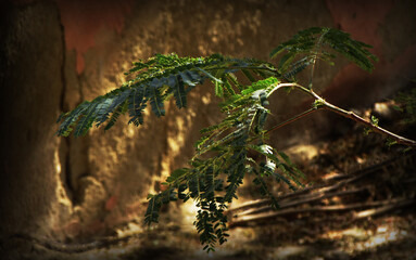 waterfall in the park