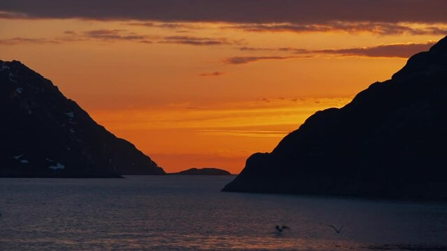 View of picturesque peaceful seascape during sunrise in Barents sea, seagulls soaring above sea next to fishing vessel, Slow motion