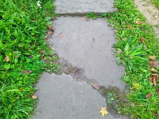 path in the park is made of concrete square slabs.