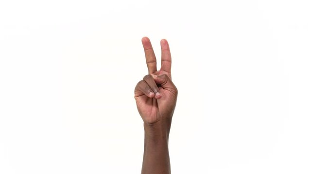 Close up of a black man's palm-side hand counting to five with his fingers. Isolated on a white background.