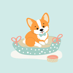 Fototapeta premium vector illustration pet dog corgi in a bed, drawing in cartoon style