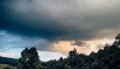 Cloud over the trees