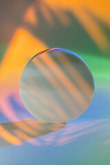 Circle with shadow from a palm leaf in neon light. Stylish abstract background to show  products.