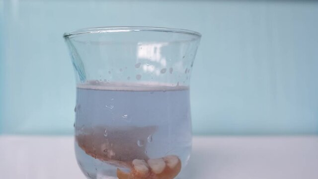 close-up partial plastic prosthesis for the upper jaw of a person in glass, disinfecting soluble effervescent tablet lies in water, air bubbles rise
