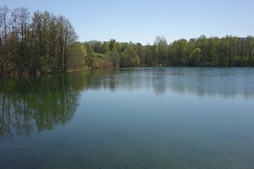 Fototapeta na wymiar Small lake in natural protection habitat under a clear spring sky, Göcklingen, Rhineland Palatinate, Germany