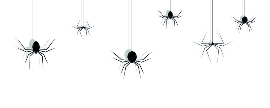 Silhouette Of Set Black Spiders For Halloween, Spider Icons Set. Simple Set Of Spider Vector Icons For Web Design On White Background