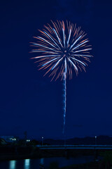 日本の花火