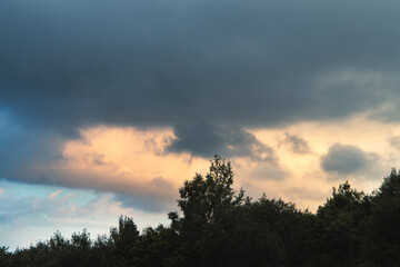 Fototapeta na wymiar Clouds over the trees