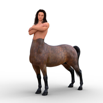 3D rendering of a centaur half man, half horse mythical creature standing with arms folded isolated on a white background.