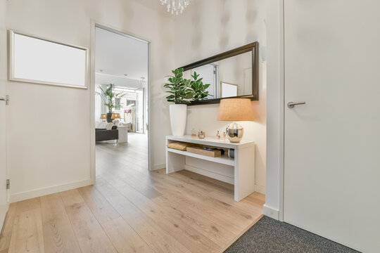 Contemporary hall interior with mirrors at home