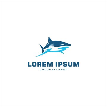 Shark Logo Design Vector Image