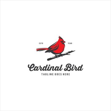 Cardinal Bird Logo Design Vector Image