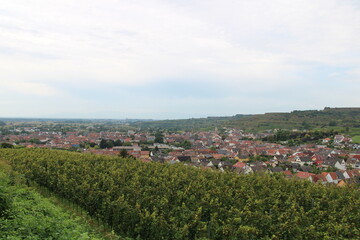 Fototapeta na wymiar Ihrigen (Kaiserstuhl) as seen from the vineyard