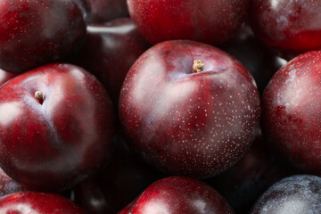 Tasty plums all over background, close up