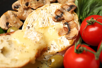 Concept of tasty food with grilled camembert, close up