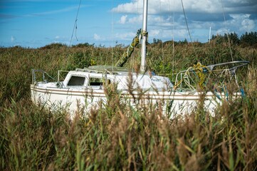 Old forgotten sailing ship in the reeds