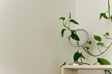 White wooden shelves with green potted plant and silver mirror against white wall. Interior design detail