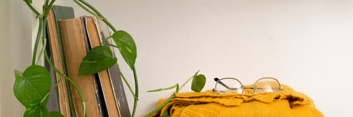 White wooden shelves with books, plant and a knitted sweater. Interior design detail