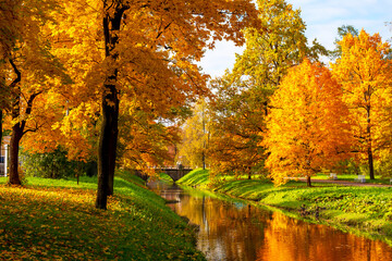 Golden autumnl in Alexander park, Tsarskoe Selo (Pushkin), Saint Petersburg, Russia