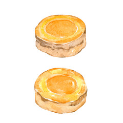 Watercolor turmeric round part