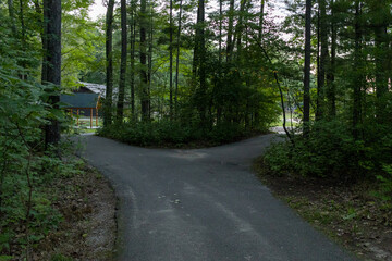 Fototapeta premium A path in the woods