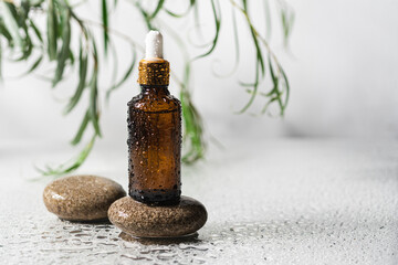 Wet cosmetic bottle with pipette on podium of pebble stones. Natural moisturizing face serum