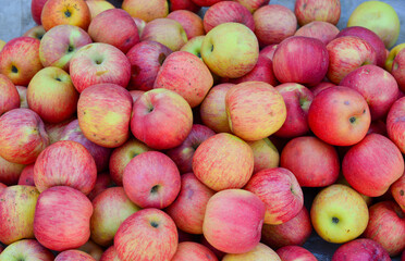Fototapeta na wymiar Selling apples at rural market in Myanmar