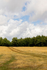 Peaceful mountain landscape. Albanian nature