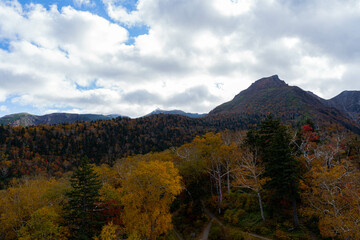The earliest autumn leaves in Japan