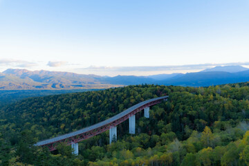 Large panoramic bridge and autumn leaves