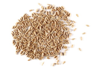 Spelt grain pile isolated on white background, top view