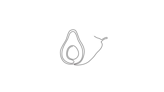 Animated self drawing of continuous line draw whole healthy organic avocado fruit for orchard logo identity. Fresh tropical fruitage concept for fruit garden icon. Full length single line animation.