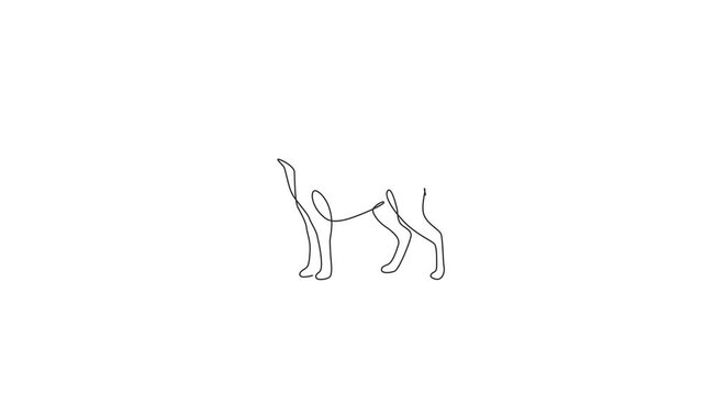 Animation of one line drawing of gallant great dane dog for security company logo. Purebred dog mascot concept for pedigree friendly pet icon. Continuous line self draw animated. Full length motion.