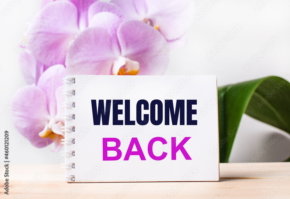 Poster white blank notebook with the text welcome back on the table against the background of a light pink 