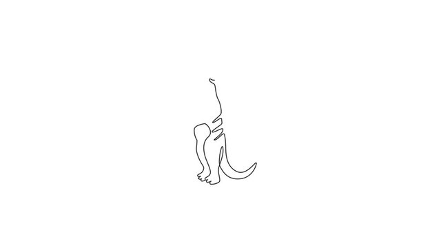 Animation of one single line drawing of funny meerkat for company logo. Little carnivore monkey mascot concept for national safari park icon. Continuous line self draw animated. Full length motion.