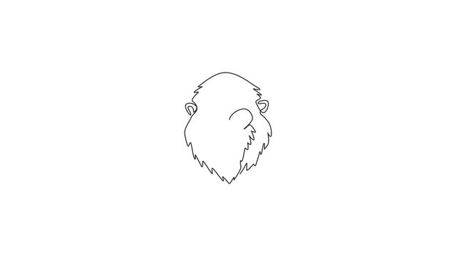 Animation of one single line drawing of exotic mandrill head for company logo. Largest monkey face mascot concept for national safari park icon. Continuous line self draw animated. Full length motion.