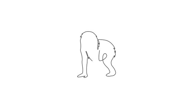 Animated self drawing of one continuous line draw cute mandrill for company logo identity. Big exotic monkey mascot concept for national zoo icon. Full length single line animation illustration.