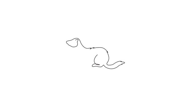 Animated self drawing of one continuous line draw adorable ferret for company logo identity. Sexually dimorphic predators mascot concept for pet lover club icon. Full length single line animation.