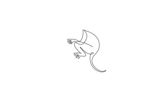 Animated self drawing of one continuous line draw cute tarsier for company logo identity. Little monkey with big eyes mascot concept for national zoo icon. Full length single line animation.