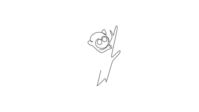 Animated self drawing of single continuous line draw adorable tarsier for company logo identity. Tiny monkey animal mascot concept for national conservation park icon. Full length one line animation.