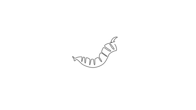 Animation of single one line drawing of beauty caterpillar for company logo. Eating machines insect mascot concept for pest control service icon. Continuous line self draw animated. Full length motion