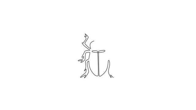 Animated self drawing of single continuous line draw adorable beetle for company logo identity. Tiny bug mascot concept for insect lover club icon. Full length one line animation illustration.
