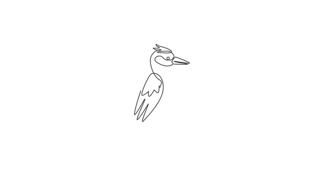 Animation of one single line drawing of adorable woodpecker for company logo. Cute bird mascot concept for national conservation park icon. Continuous line self draw animated. Full length motion.
