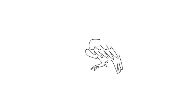 Animated self drawing of single continuous line draw mystery vulture for foundation logo identity. Griffon bird mascot concept for national zoo icon. Full length one line animation illustration.