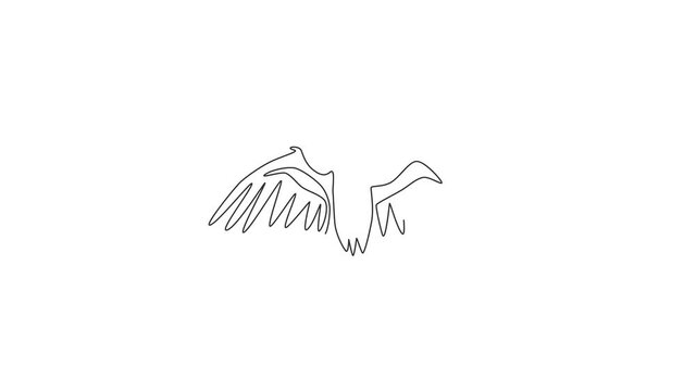 Animation of one single line drawing of large vulture for zoo logo. Scavenging bird of prey mascot concept for national conservation park icon. Continuous line self draw animated. Full length motion.