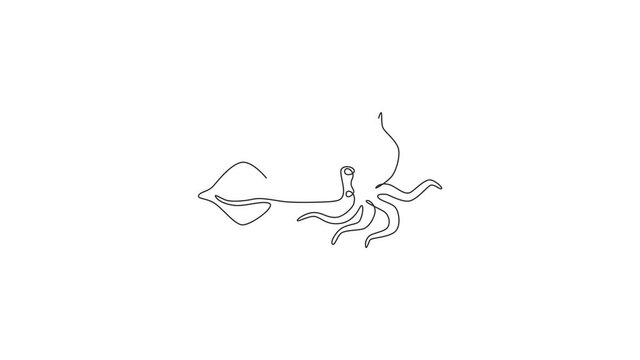 Animated self drawing of one continuous line draw cute squid for seafood logo identity. Sea cuttlefish mascot concept for Chinese restaurant icon. Full length single line animation illustration.