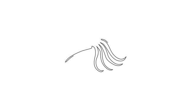 Animation of one line drawing of beauty squid for Chinese restaurant logo. Large cuttlefish mascot concept for fresh and healthy seafood icon. Continuous line self draw animated. Full length motion.