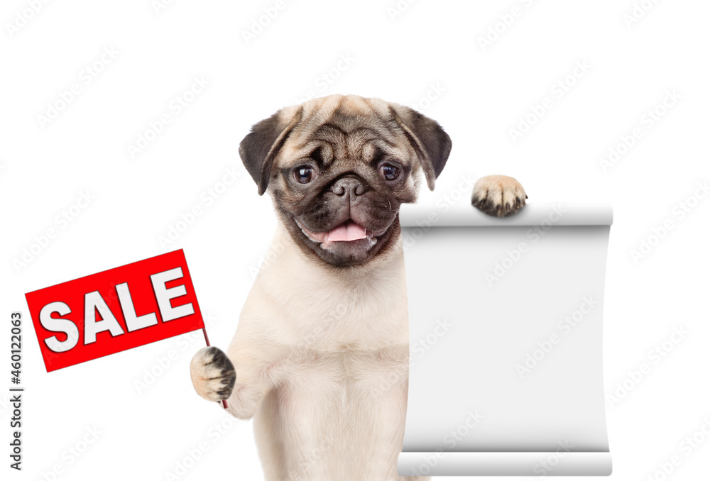 Poster Pug puppy shows empty list and sales symbol. isolated on white background