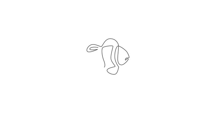 Animated self drawing of one continuous line draw adorable clown fish for sea water aquarium logo identity. Stripped anemonefish mascot concept for aquatic show icon. Full length single line animation