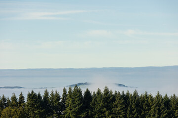 Weite Landschaft im Nebel